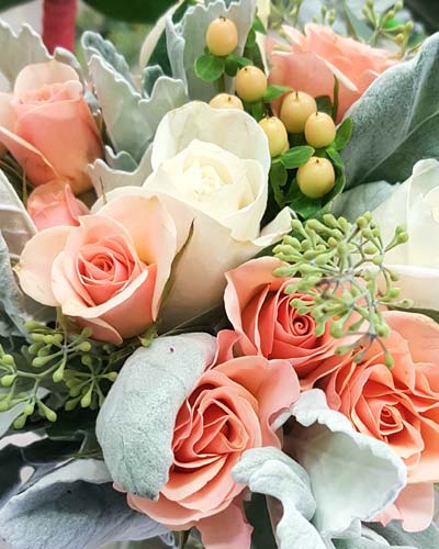 Coral Roses Floral Coral Roses Floral