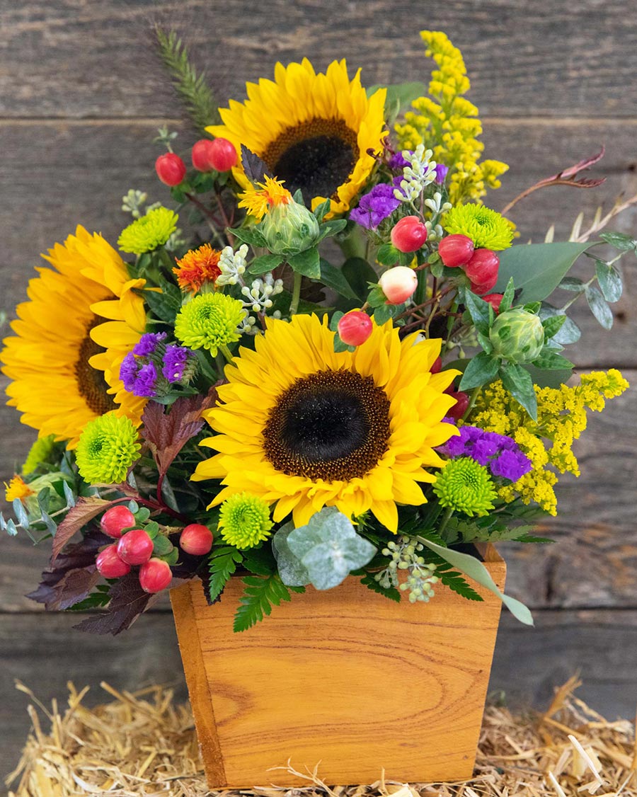 Fresh Florals Brady's House of Flowers