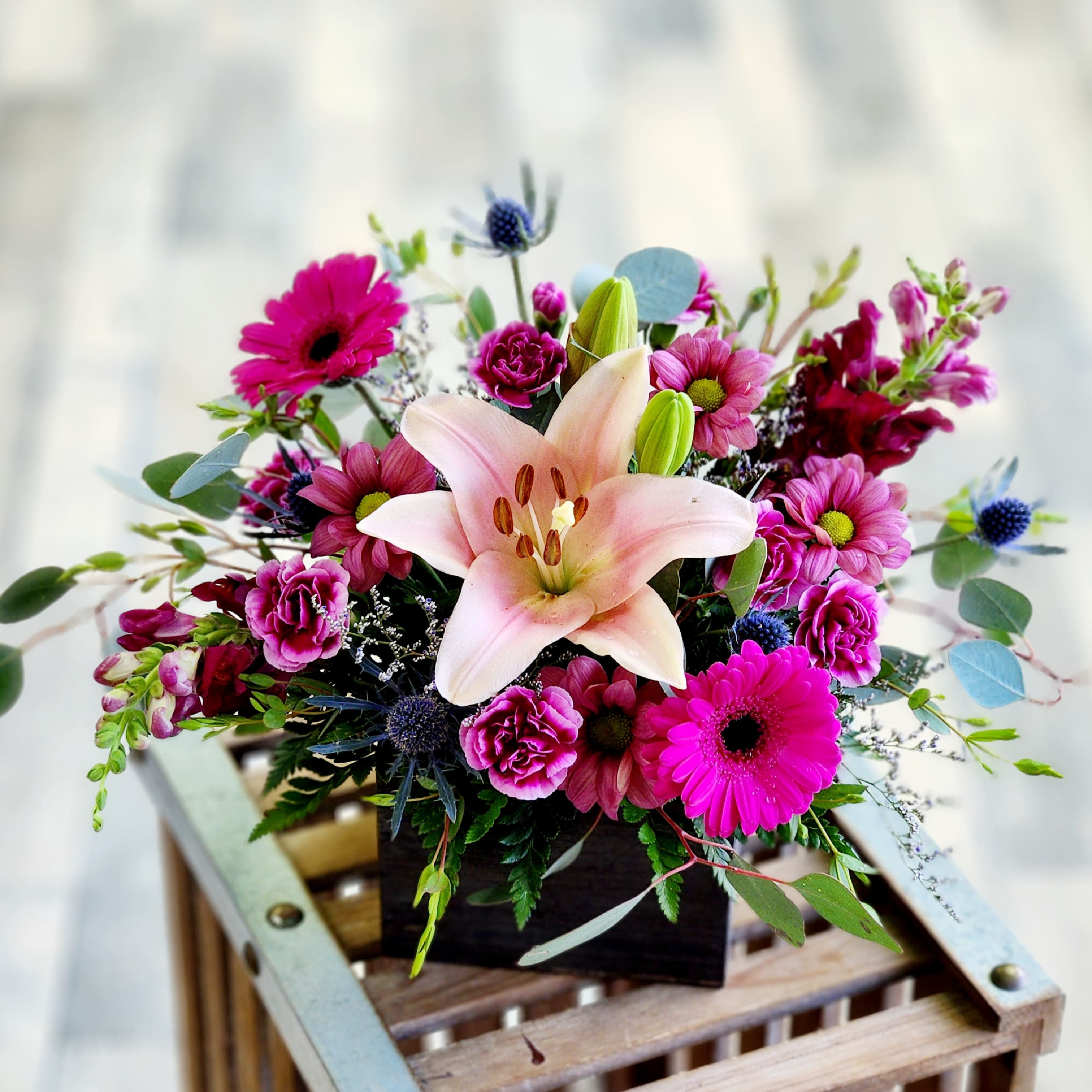 Freesia Cut Flowers