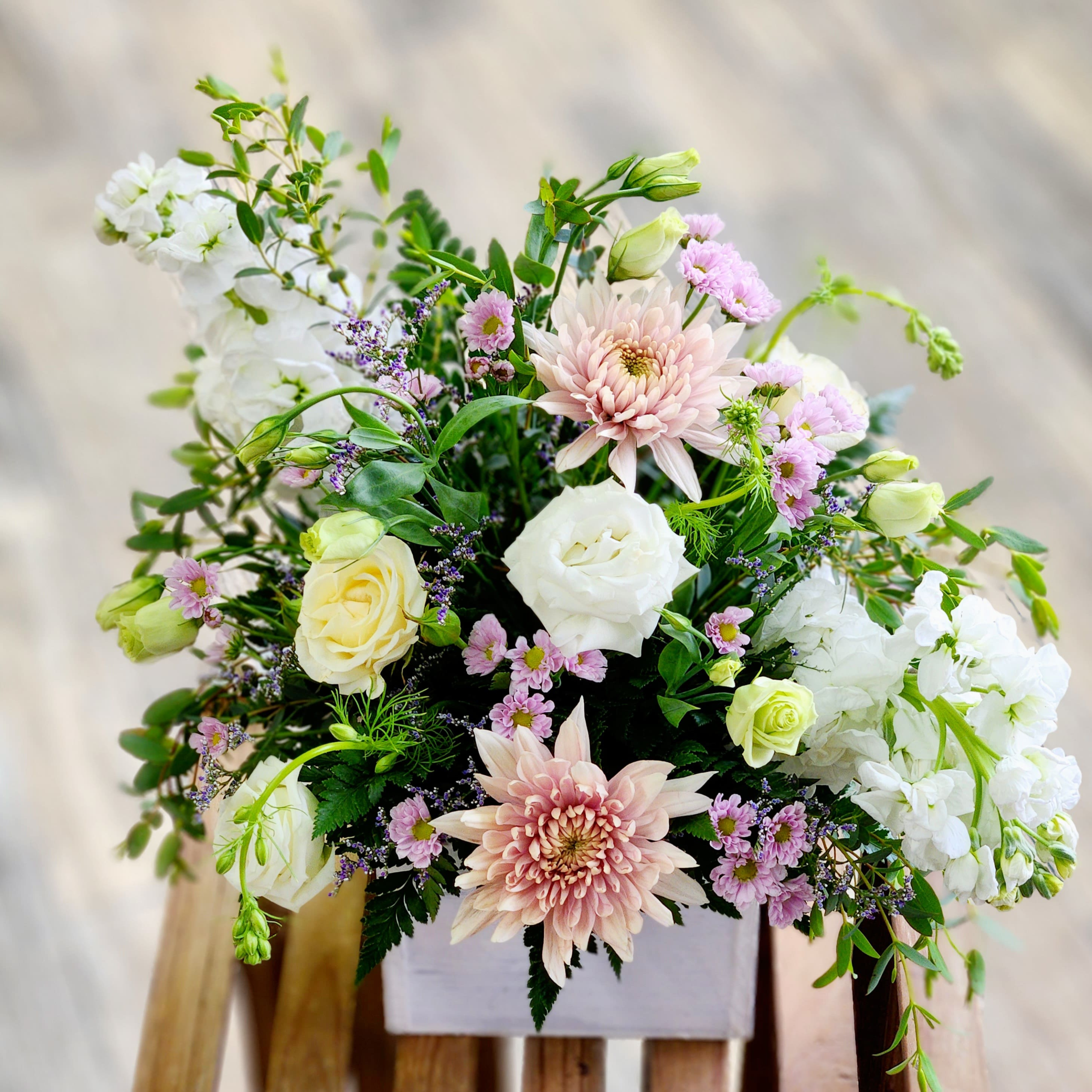 Freesia Cut Flowers